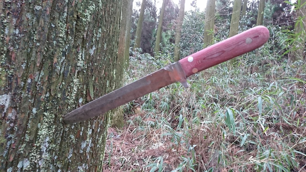 山で